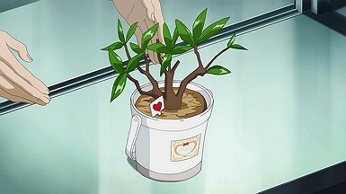 ScreenShot Immagine della serie - Tonikaku Kawaii - 42
